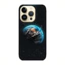 Кейс за iPhone 381 земя