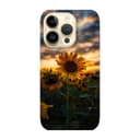 Кейс за iPhone 501 слънчоглед