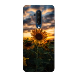 Кейс за OnePlus 501 Слънчоглед 