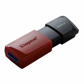 USB флаш памет Kingston 128GB